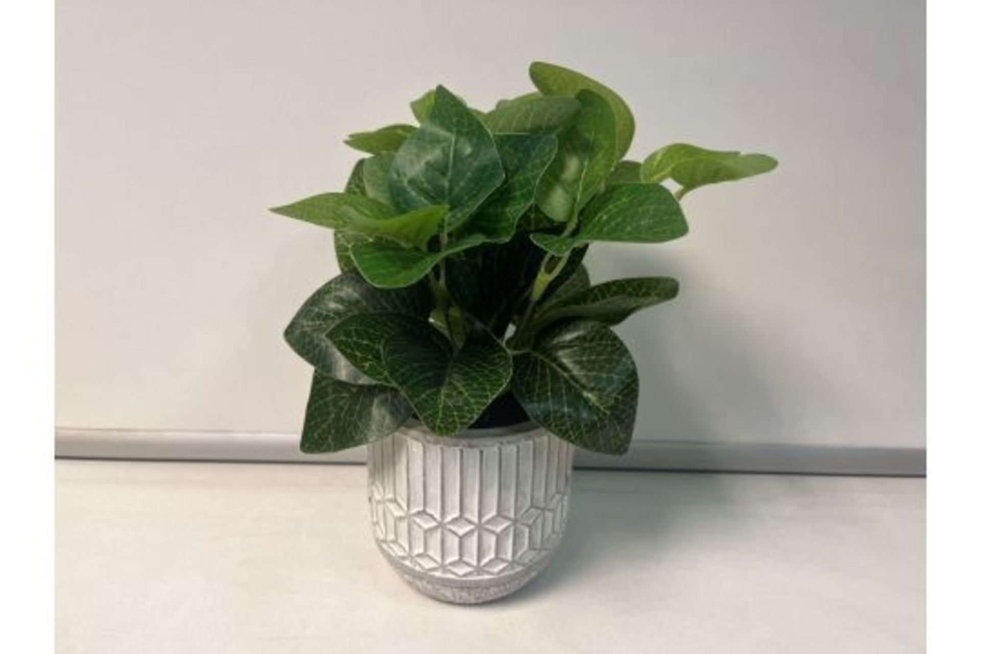 18 X BRAND NEW EVERGREEN LEAVES IN GREY CERAMIC POT R19