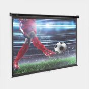 100-Inch Pull-Down Projector Screen. Create your very own home theatre with this extra-large 100-