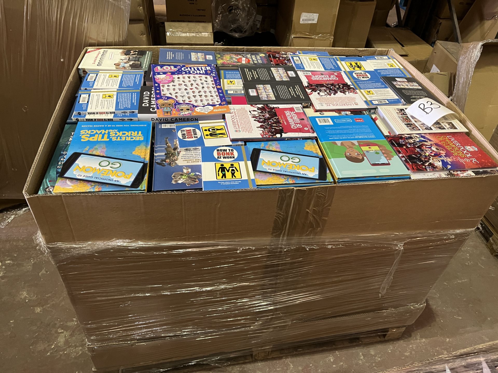 (B3) PALLET TO CONTAIN 480KG OF NEW BOOKS WITH AN ORIGINAL RRP VALUE OF £19,480.50. INCLUDES BOTH