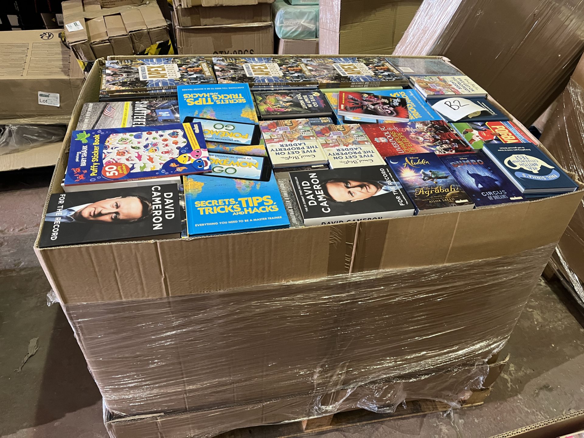 (B2) PALLET TO CONTAIN 485KG OF NEW BOOKS WITH AN ORIGINAL RRP VALUE OF £20,391. INCLUDES BOTH