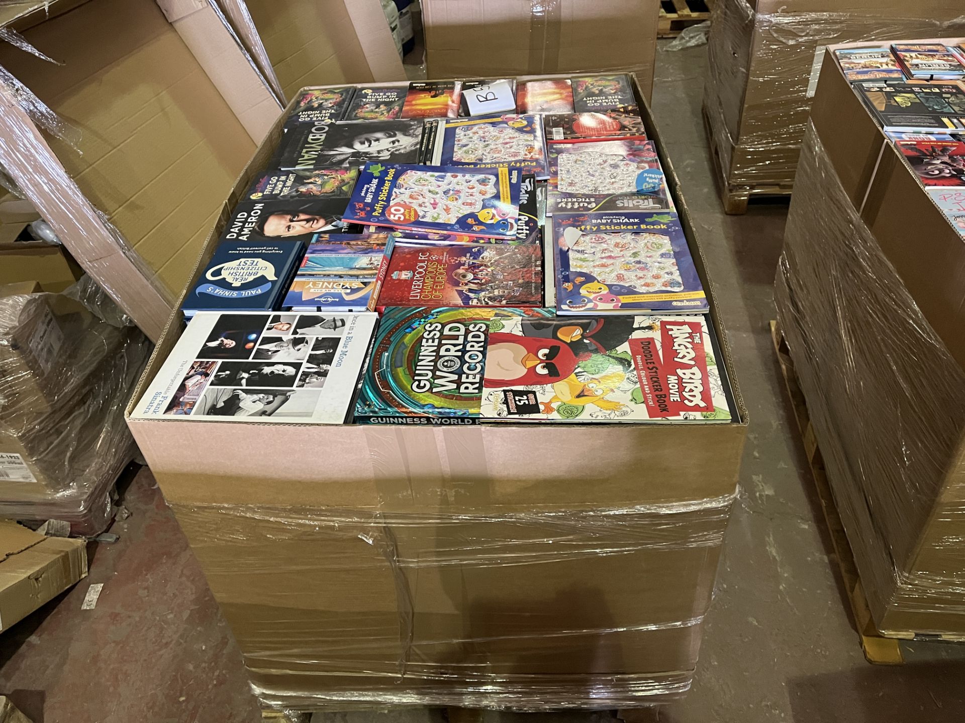 (B5) PALLET TO CONTAIN 484KG OF NEW BOOKS WITH AN ORIGINAL RRP VALUE OF £19,118. INCLUDES BOTH