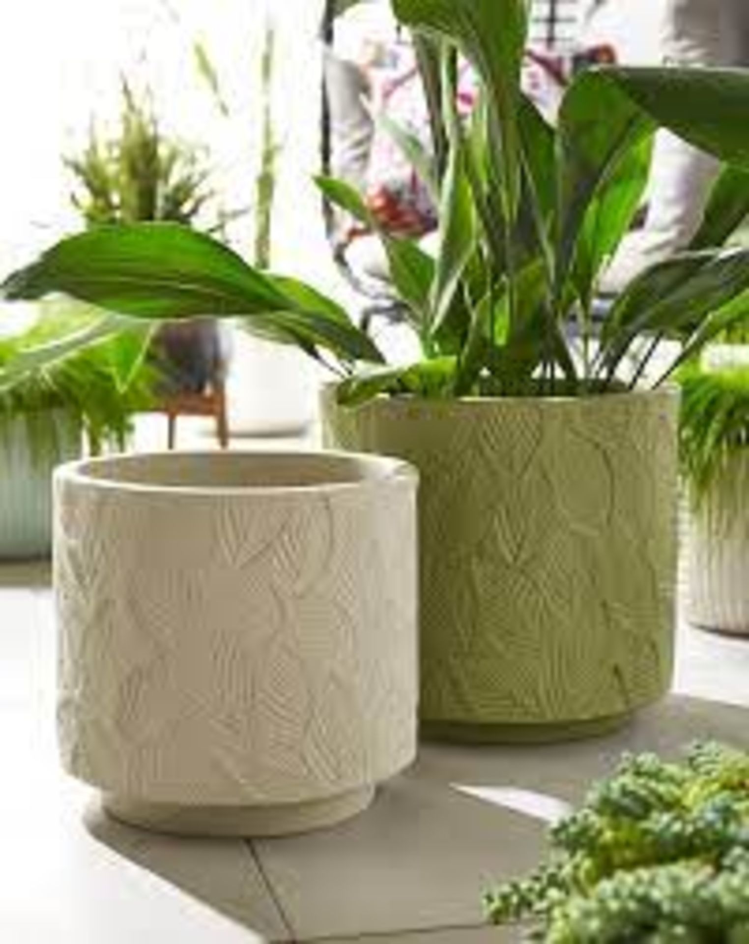 (REF118288) Set of 2 Embossed Leaf Planters RRP 88.5