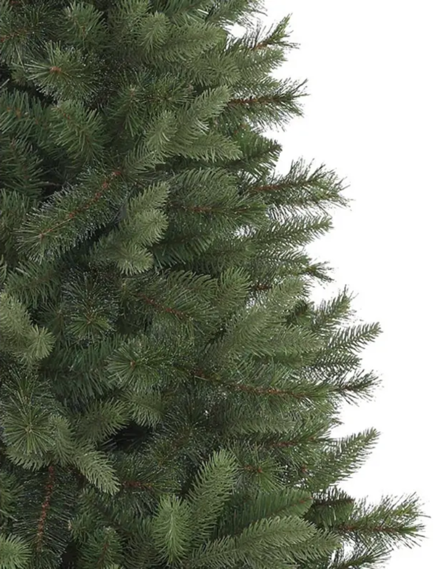 BH (The worlds leading Christmas Tree Brand) Swiss Mountain Pine 6ft Christmas Tree Unlit. RRP £ - Image 3 of 3