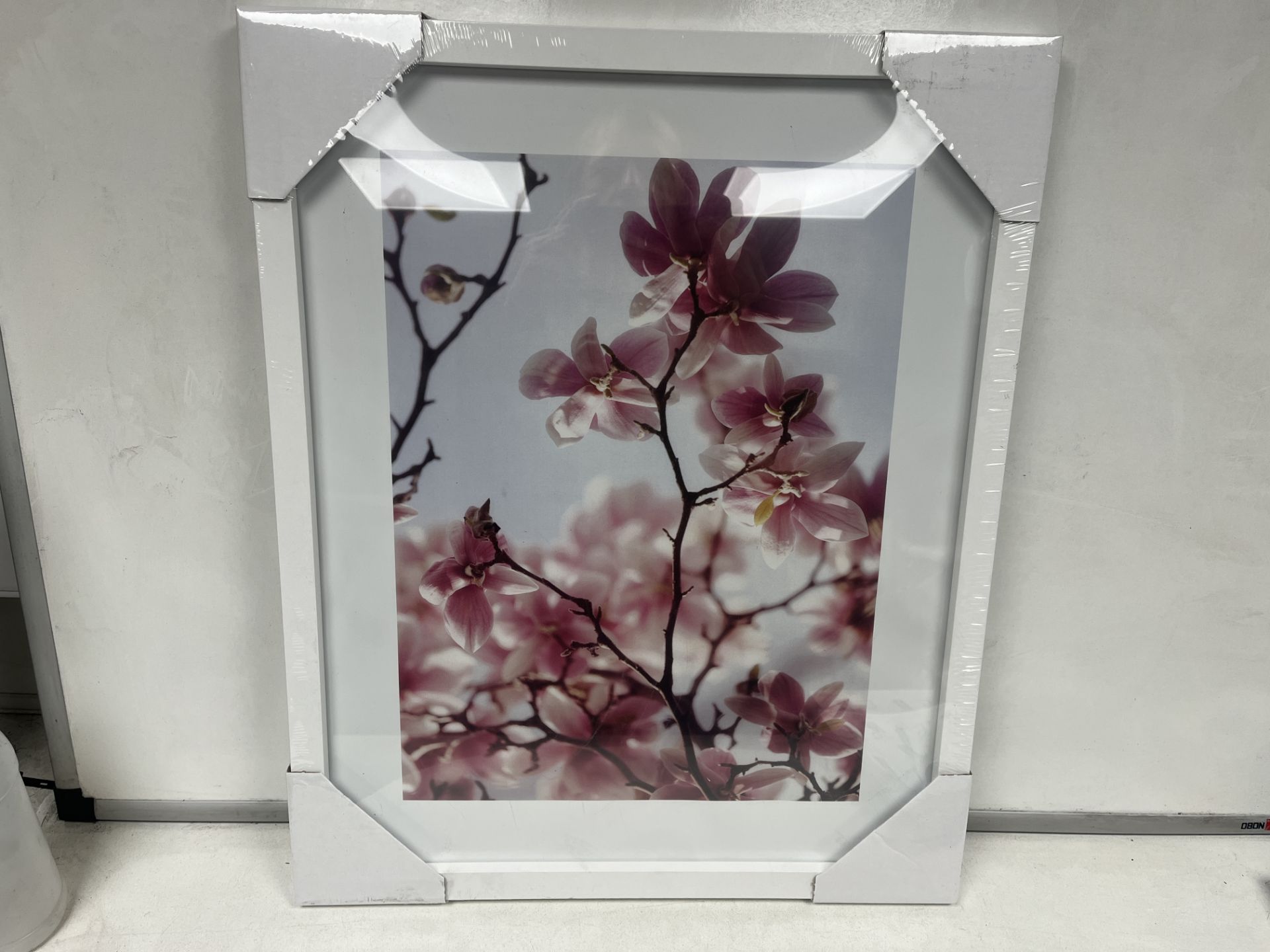 20 X BRAND NEW 40 X 50CM FLORAL FRAMED ARTWORK R2-6