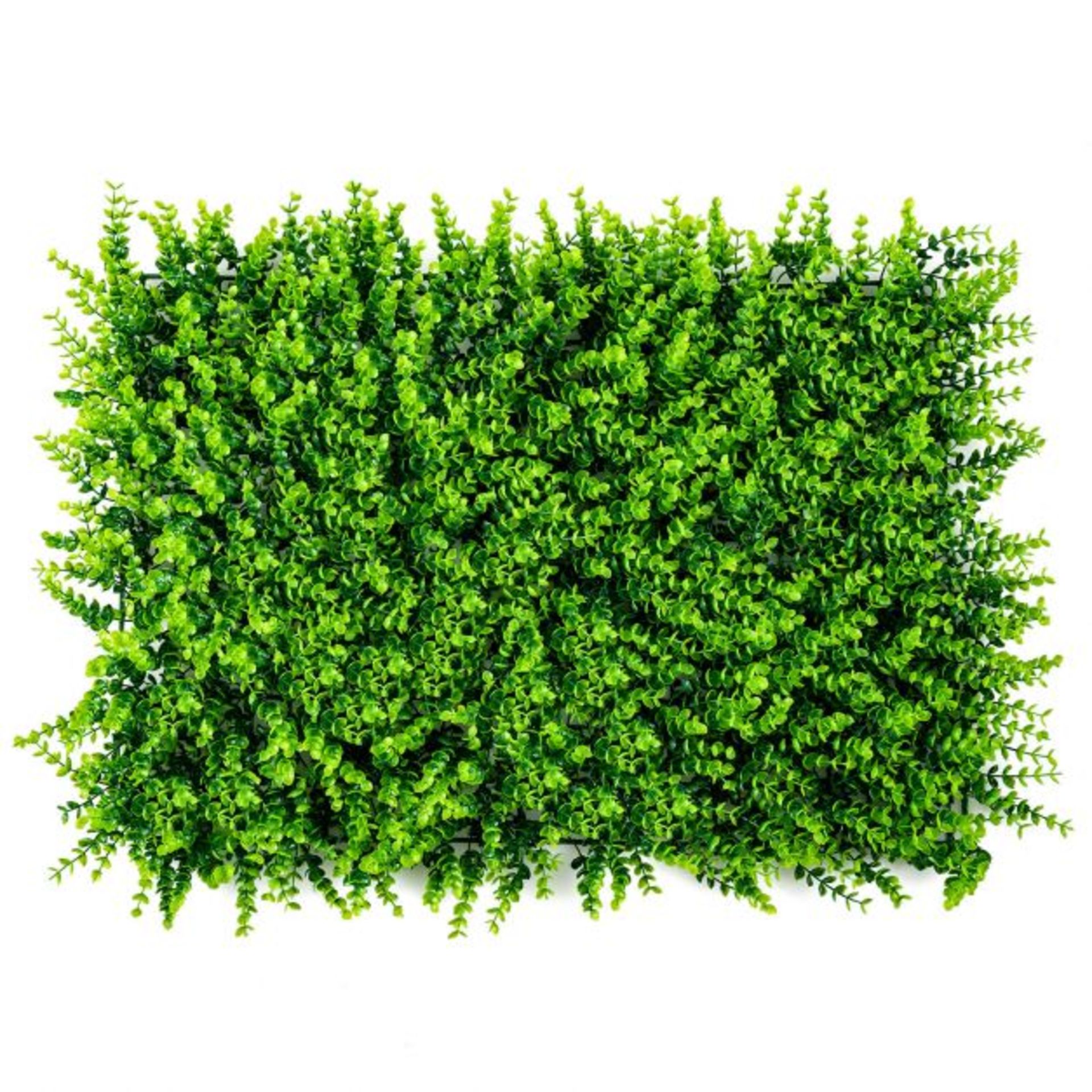 12 Decorative Hedge Panels. RRP £145.00. Spruce up your garden space with these beautifully designed