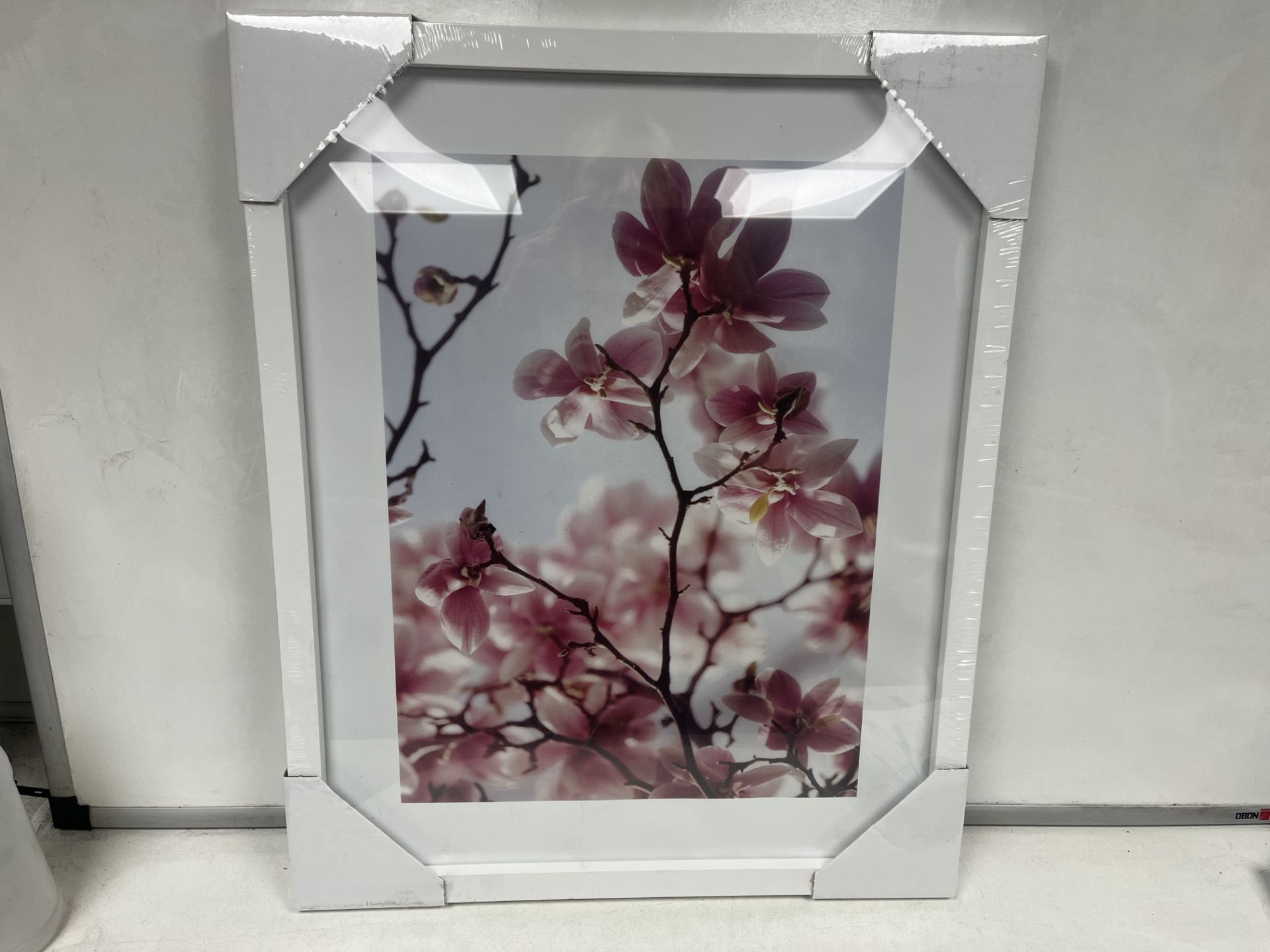 20 X BRAND NEW 40 X 50CM FLORAL FRAMED ARTWORK R2-6