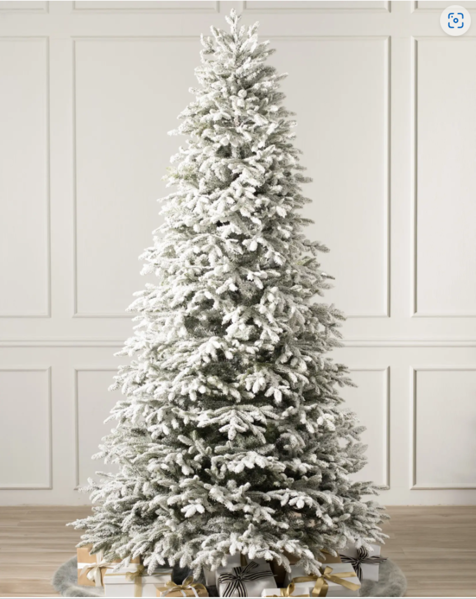 BH (The worlds leading Christmas Trees) Frosted Fraser Fir® Unlit Tree. RRP £499.00. Invite the