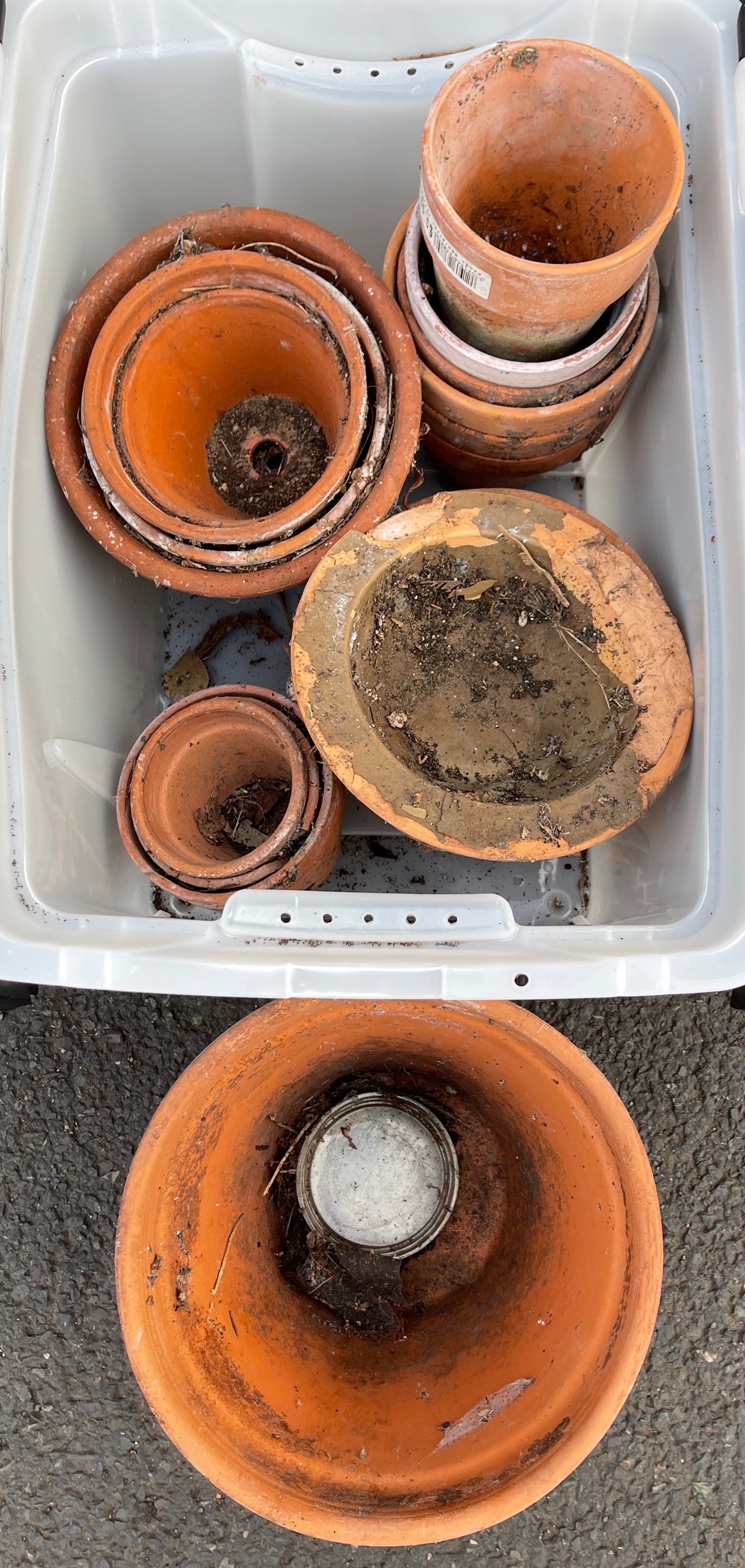 15 Terracotta plant pots, assorted sizes