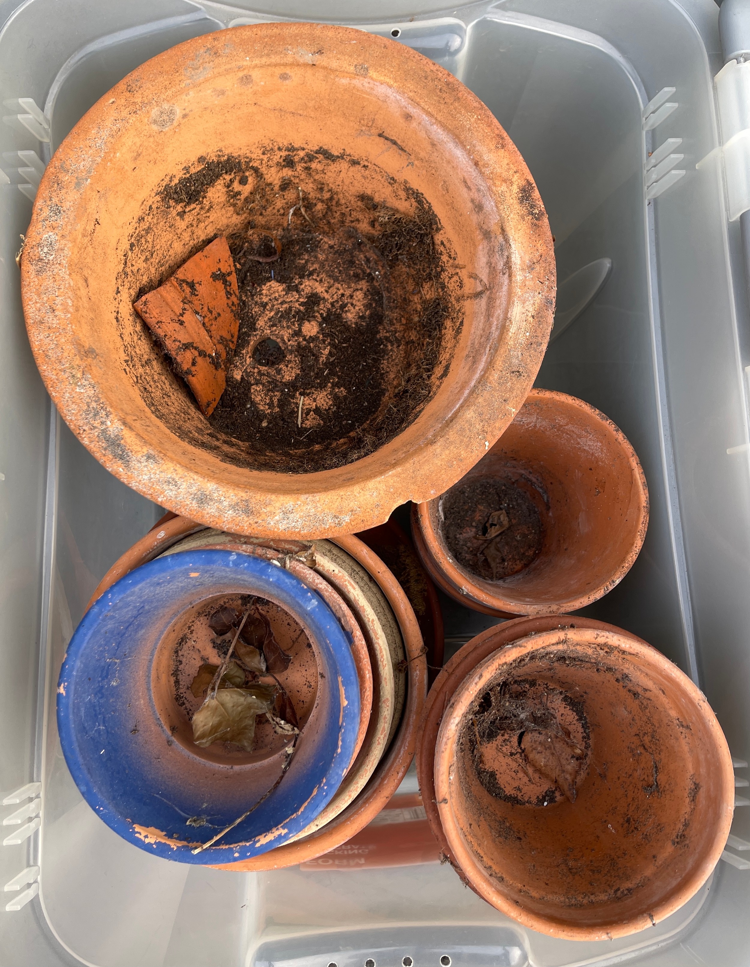 13 Terracotta plant pots, assorted sizes