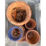 13 Terracotta plant pots, assorted sizes