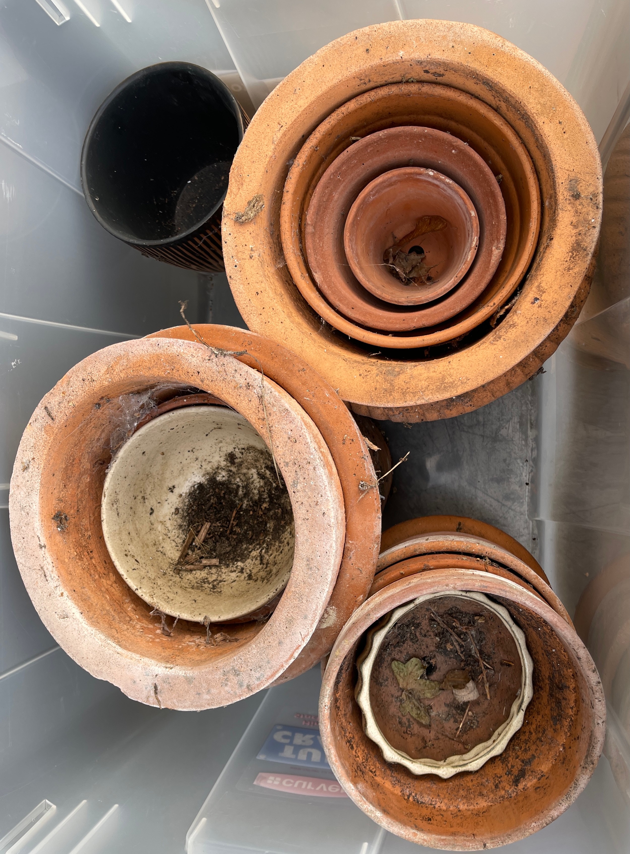 Selection of 13 terracotta plant pots, various sizes