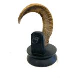 Vintage Rams horn desk ornament, overall height: 10 inches
