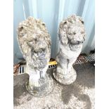 2 Concrete garden lions 21" tall