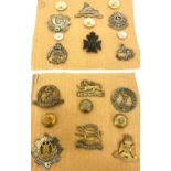 Large selection of military cap badges