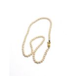 9ct gold clasp pearl necklace
