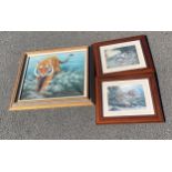 3 Framed tiger pictures, assorted sizes