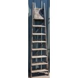 Set of wooden ladders