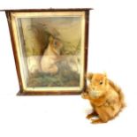 Antique taxidermy squirrel in case, plus squirrel without case, case measurements: Height 12.5