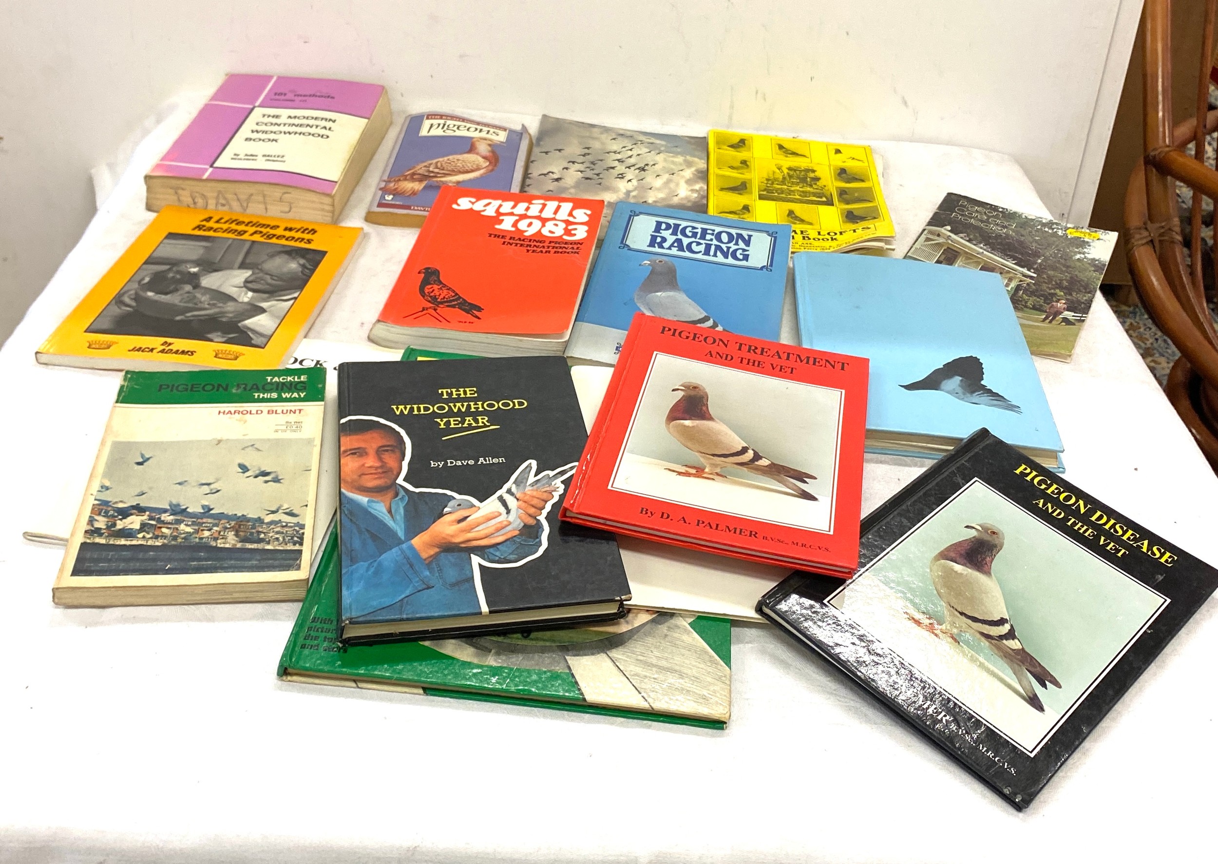 Selection of books to include Pigeon books, annuals etc