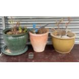 3 Assorted garden planters largest measures approx