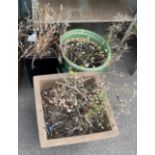 Selection of 3 garden planters tallest measures approx 15.5 inches