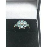 9ct Gold Diamond & Blue Gemstone Floral Set Ring (2g)