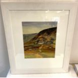 Signed Framed painting by Bob Armstrong headland warren, frame measures approx 25 inches tall 22