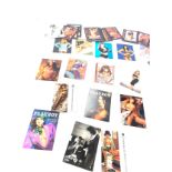 Selection of collectors cards includes Goddels manga cards, Playboy April collection cards, WWE
