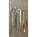 Large selection of vintage and later walking stick