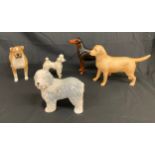 Selection of 5 Beswick dogs includes Boxer, Poodle, Laborador, deluxe dog etc, all in over all