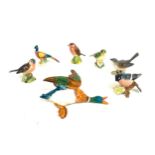Selection of 5 Beswick birds, A duck wall plaque and a Pheasant, all in over all good condition