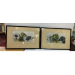 Pair of framed prints each measures approx 19 winches wide 13 inches tall