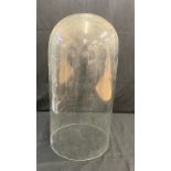 Large glass dome without base, approximate height 17 inches, base diameter 9 inches