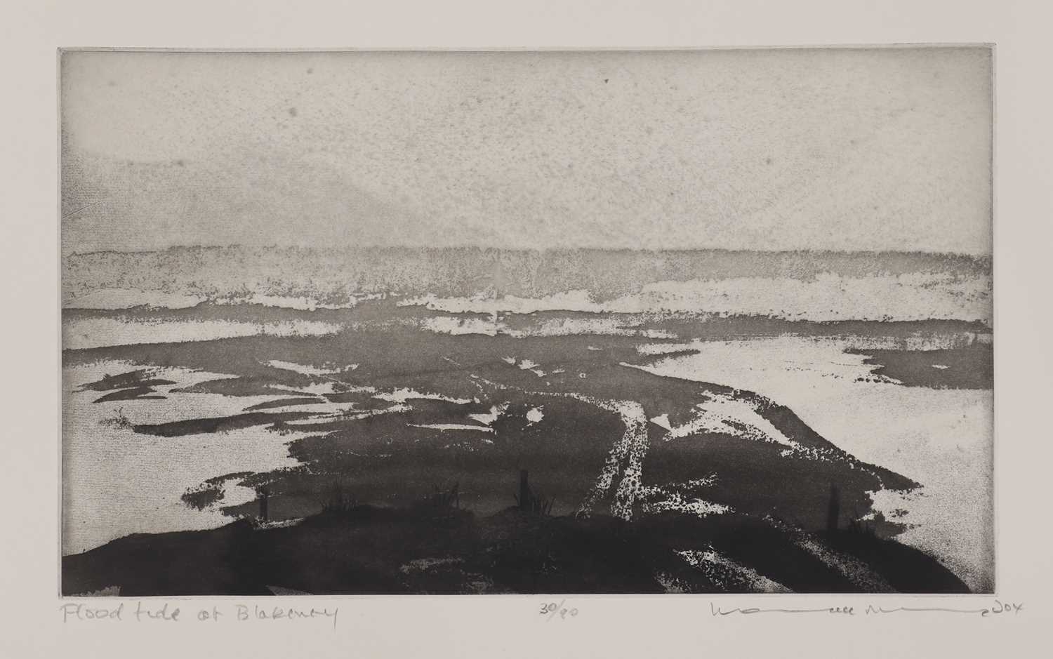 Norman Ackroyd RA (b.1938) - Image 2 of 22