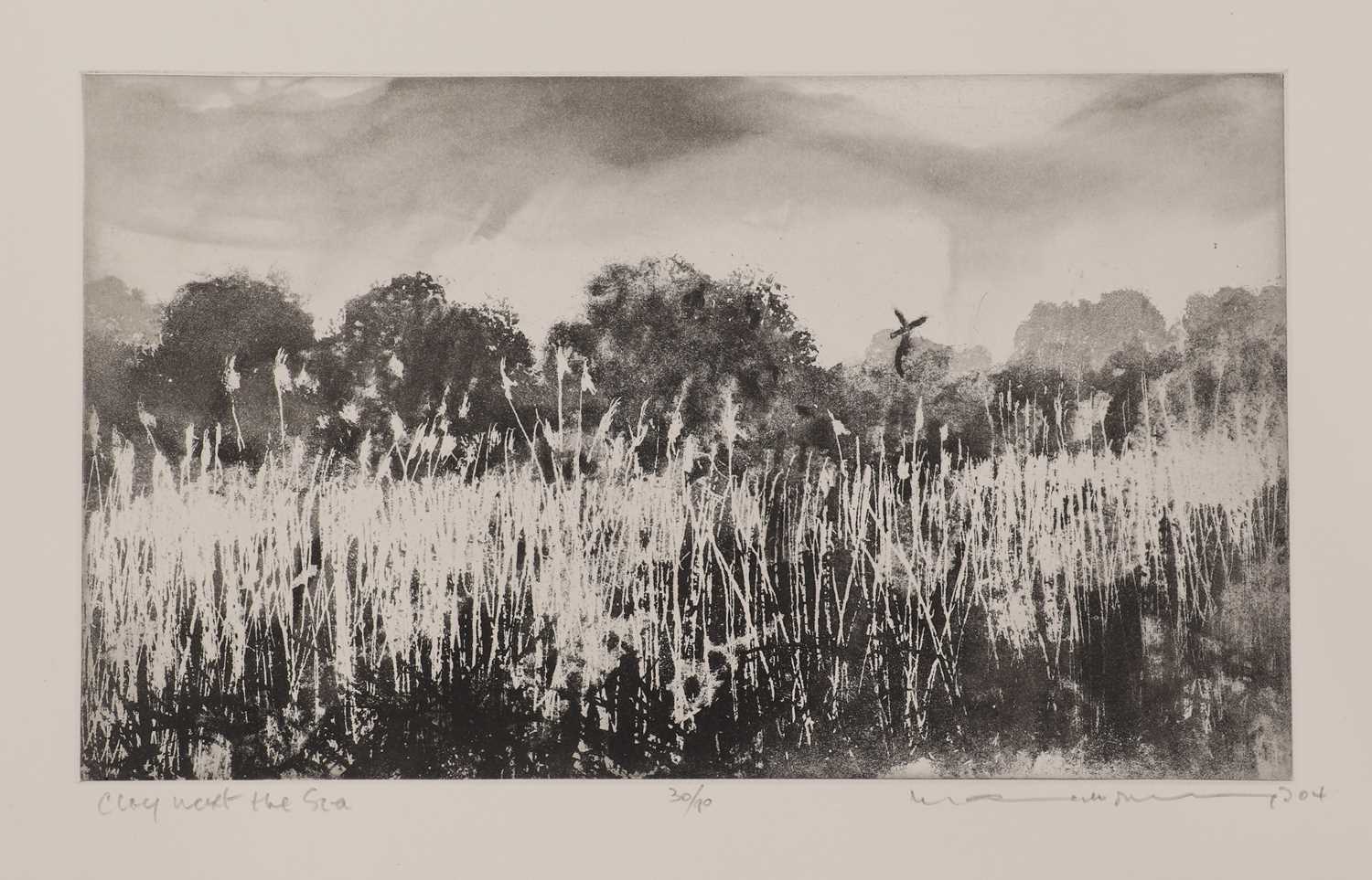 Norman Ackroyd RA (b.1938) - Image 4 of 22