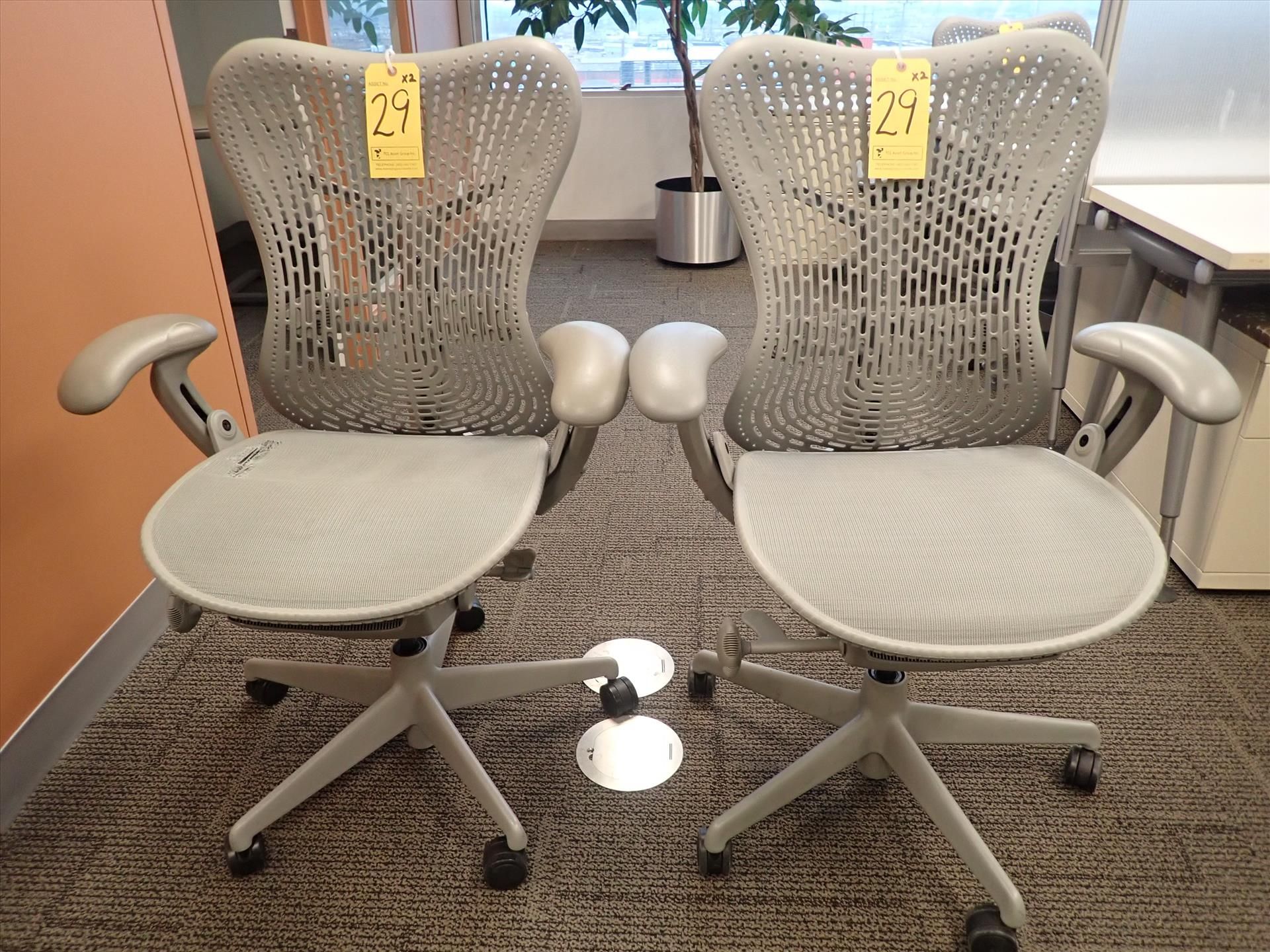 Herman Miller Mirra task chairs; adjustable height, arms, lumbar support, tilt seat and back,