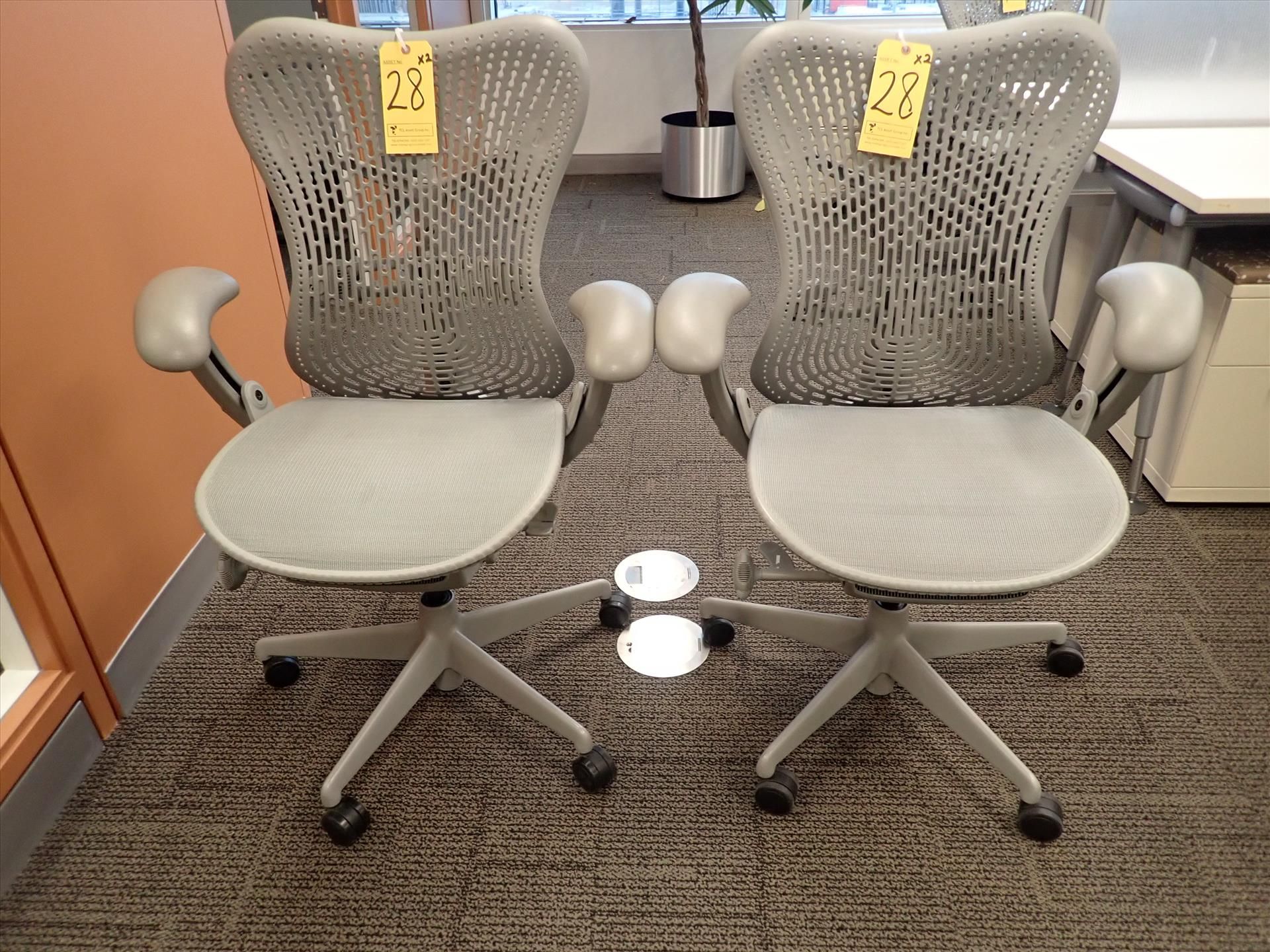 Herman Miller Mirra task chairs; adjustable height, arms, lumbar support, tilt seat and back,