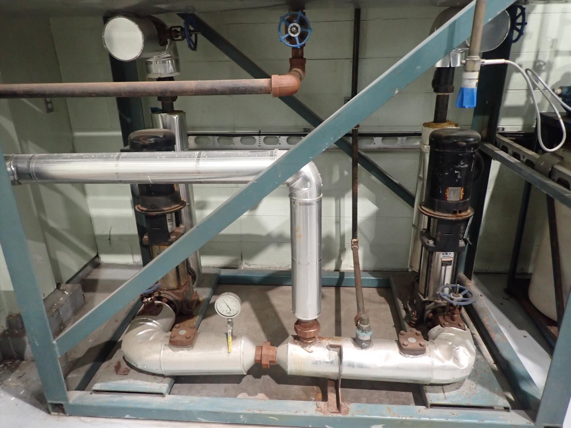 Deaerator System w/ tank, approx. 50 in. dia. x 8 ft., (2) Grundfos CR8 pumps, 7.5 hp ea., skid- - Image 2 of 5