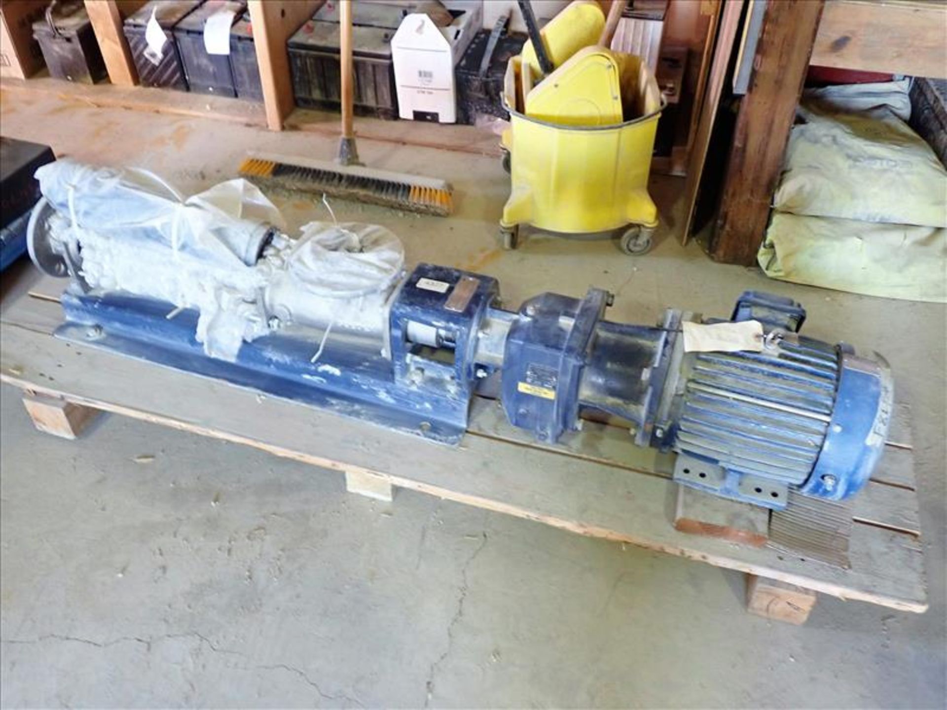 Seepex Pump, mod. BN15-6LT, 5HP (Tag No. 4377) [Sea Container 131771-1] {Location Hallnor}