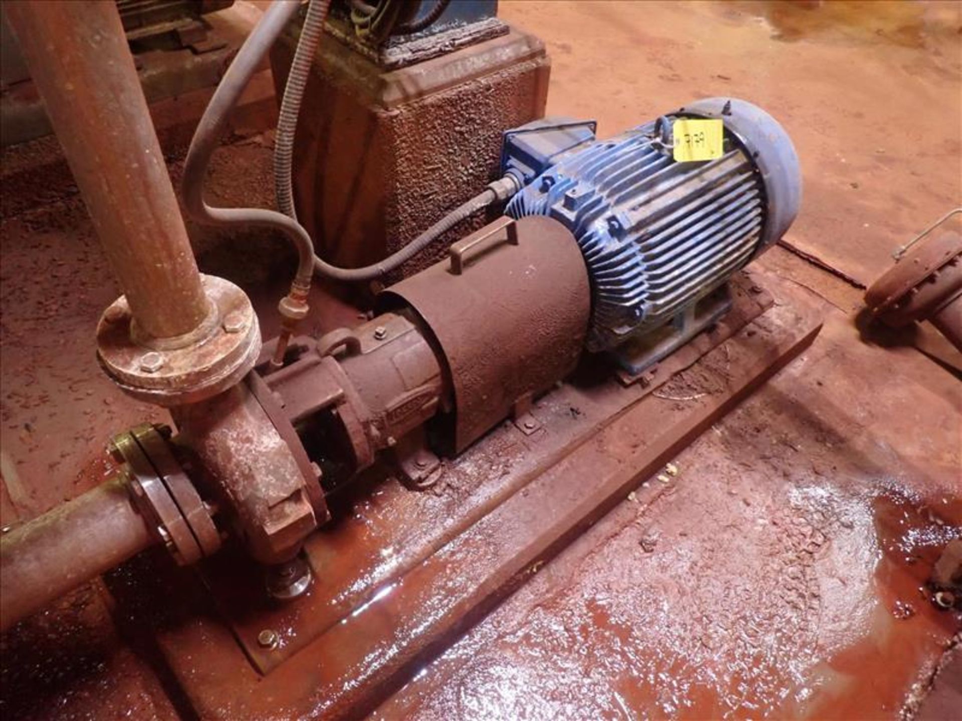 Durco centrifugal pump, 40 hp (Tag 7179 Loc ZPL Plant)