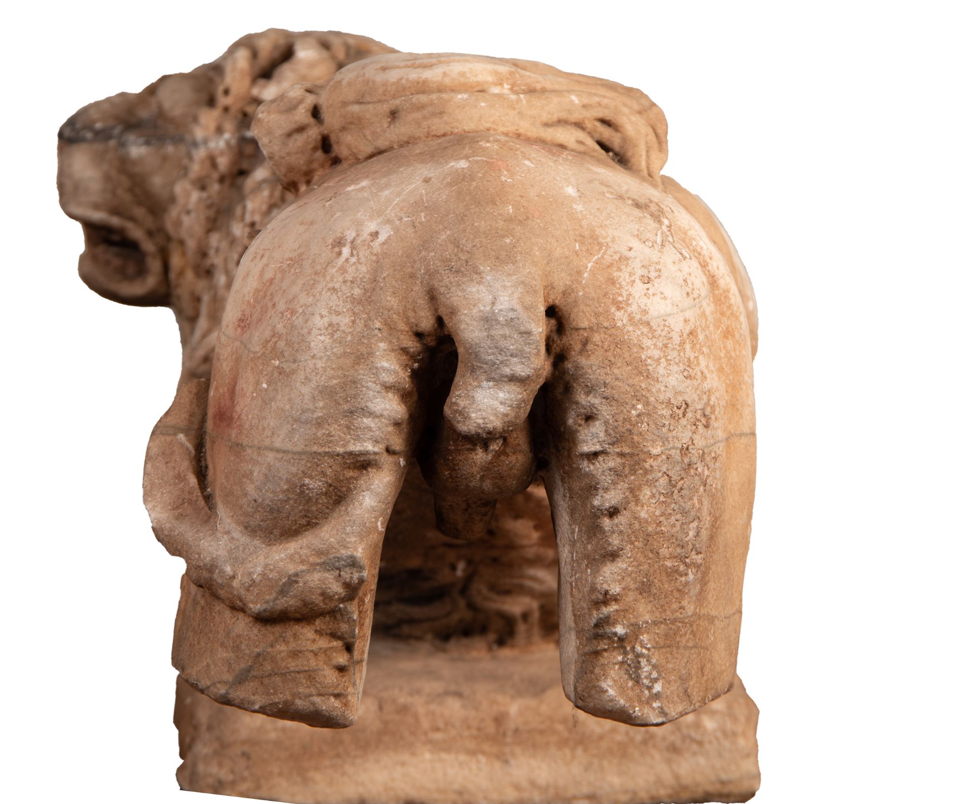 Exceptional Lion sculpture in Marble, Spain or Italy, 15th - 16th century - Bild 10 aus 13