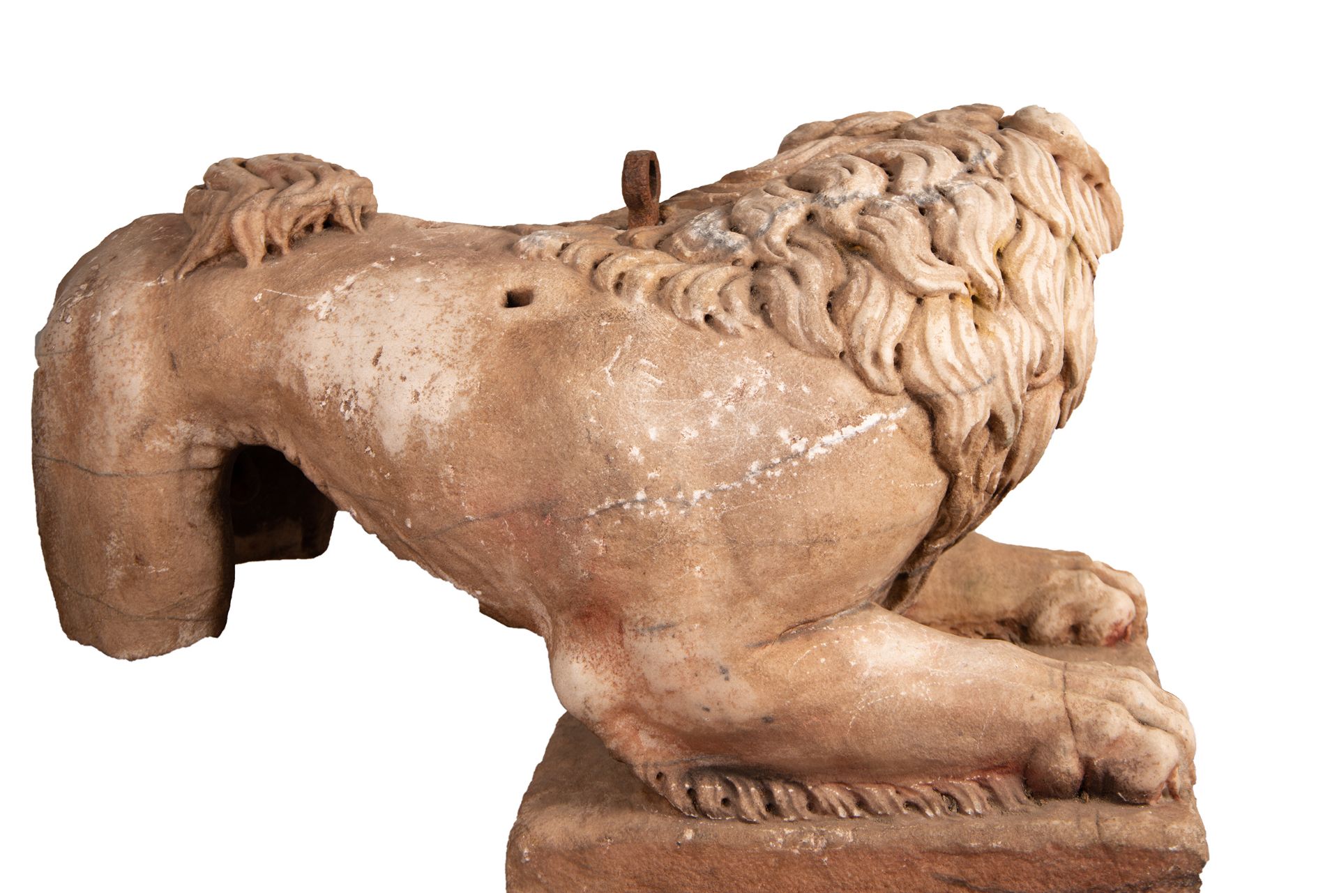 Exceptional Lion sculpture in Marble, Spain or Italy, 15th - 16th century - Bild 9 aus 13