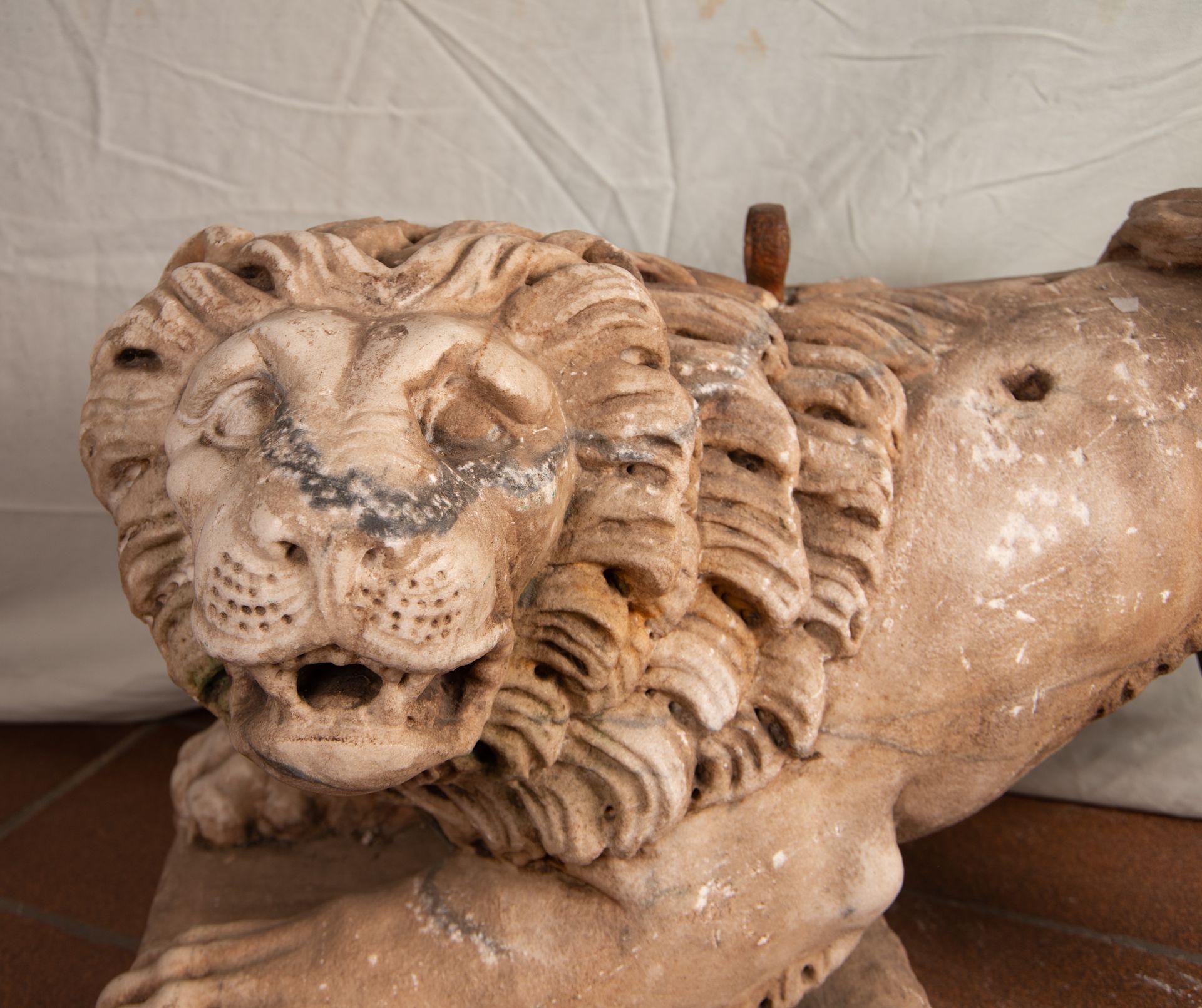 Exceptional Lion sculpture in Marble, Spain or Italy, 15th - 16th century - Bild 2 aus 13