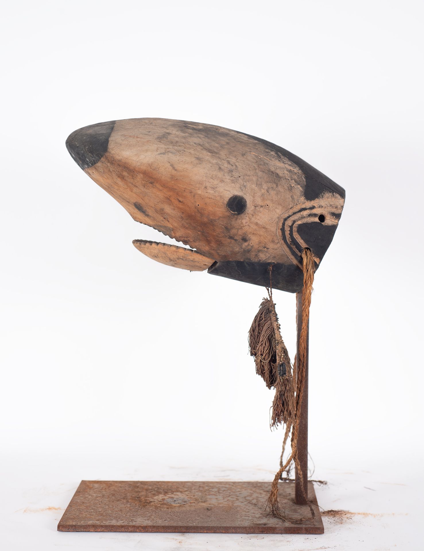 Shark head in wood, Bidjogo, Guinea Bissau - Bild 5 aus 6