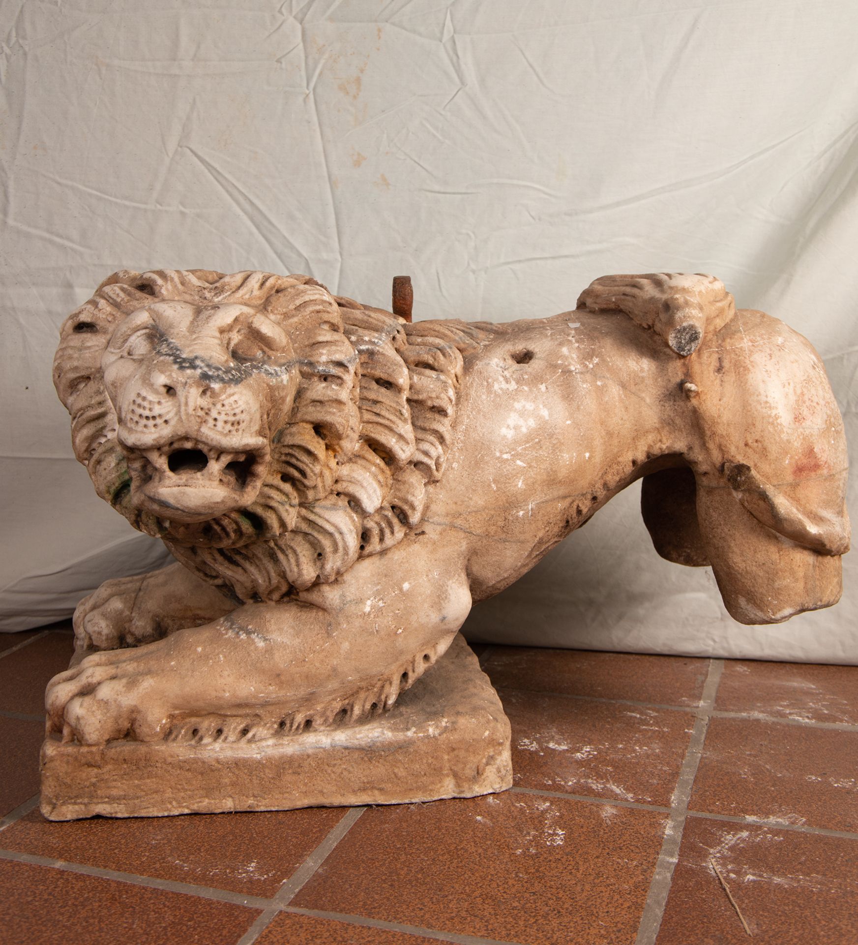 Exceptional Lion sculpture in Marble, Spain or Italy, 15th - 16th century