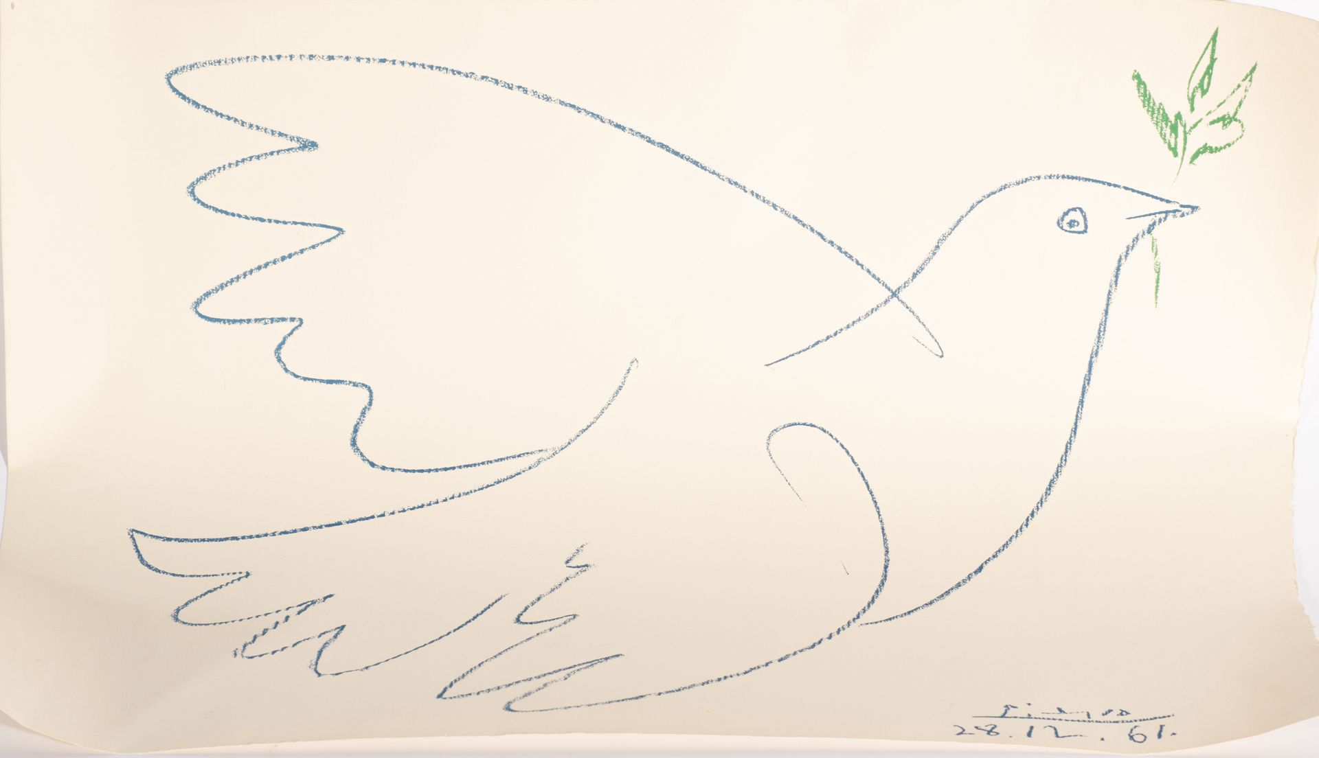 Picasso's Dove of Peace, iron on paper