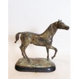 Horse in Bronze, European school of the XIX - XX centuries