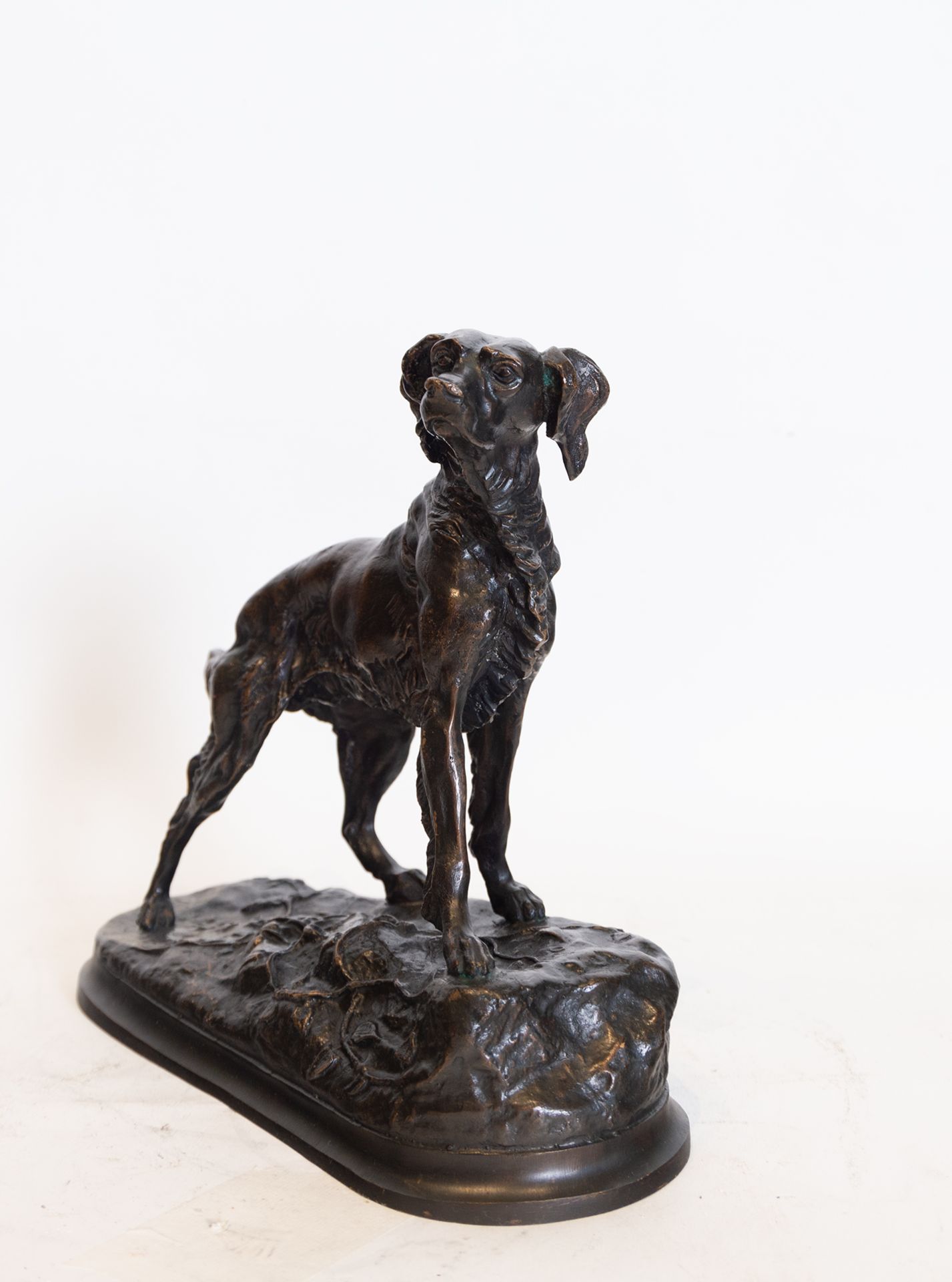 Figure of a dog in bronze, European school of the 20th century - Image 2 of 3