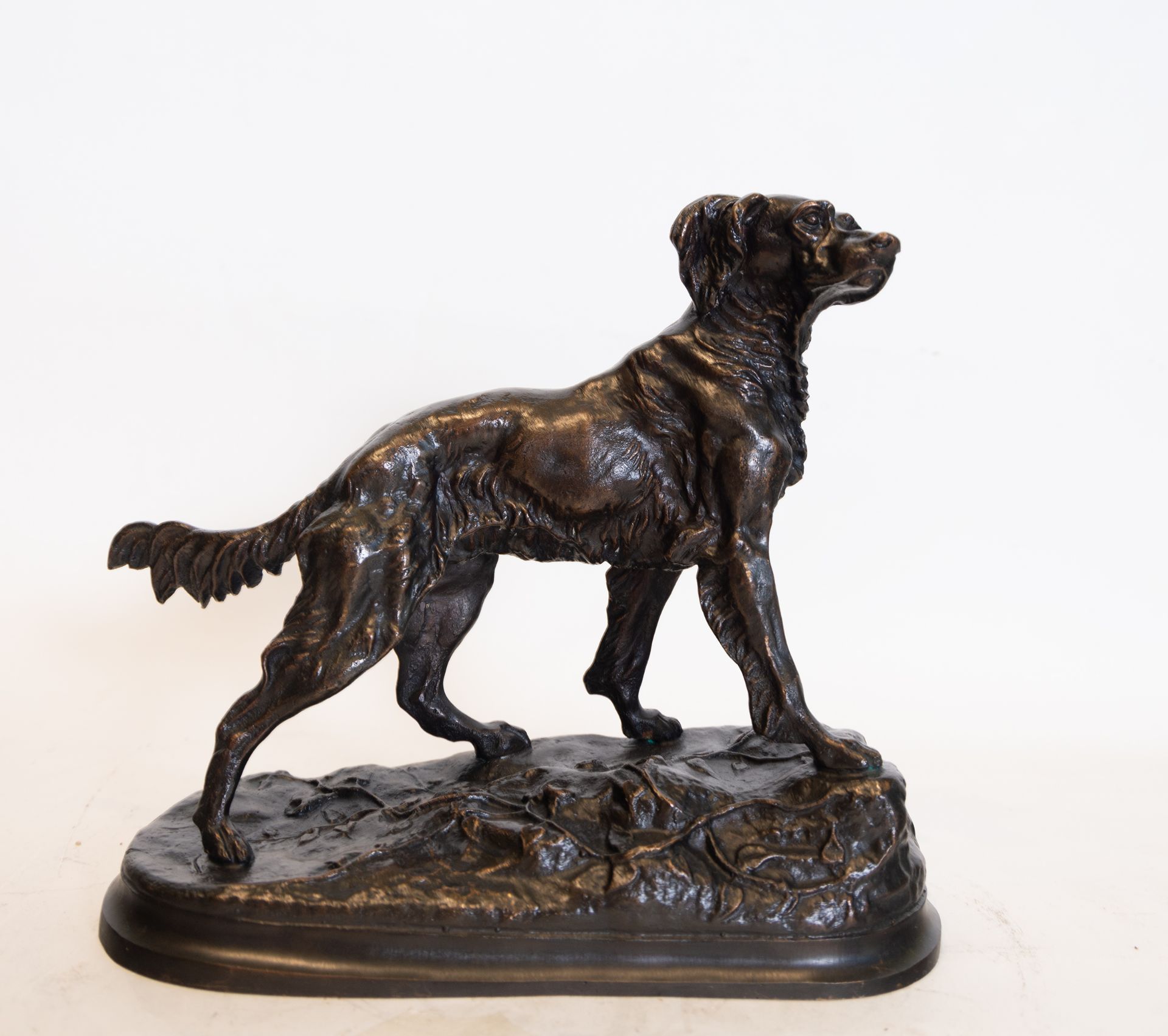 Figure of a dog in bronze, European school of the 20th century