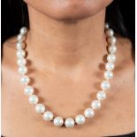 Australian cultured pearl necklace with white gold and diamond clasp